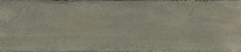 KM263758