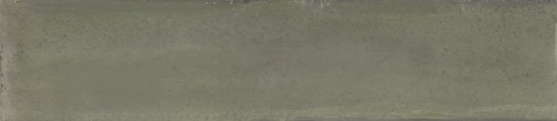 KM263751