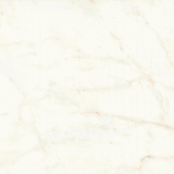 Керамогранит Atlas Concorde Marvel Shine Delicato A4Q8 120x120