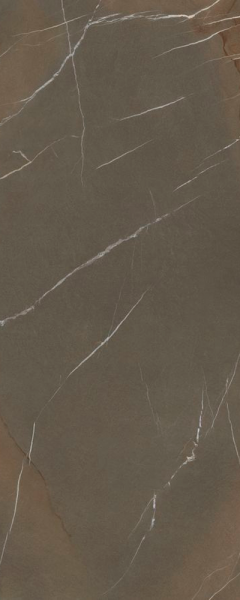 Керамогранит Laminam In-Side Pietra Piasentina Taupe Naturale 5.6 LAMF009439_IT 120x300