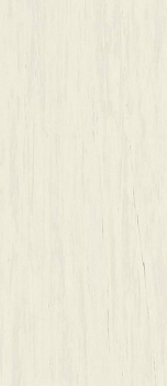 Керамогранит Atlas Concorde Marvel Stone Bianco Dolomite A0BP 120x278