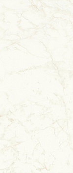 Керамогранит Atlas Concorde Marvel Shine Calacatta Delicato  A4OY 120x278