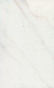 Керамическая плитка Kerama Marazzi Гран Пале белый 6343 25x40