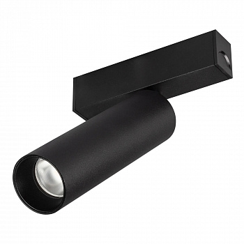 Светильник Arlight MAG-SPOT-25-R120-12W Day4000 033241