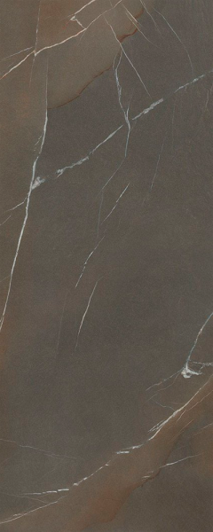 Керамогранит Laminam In-Side Pietra Piasentina Taupe Naturale 5.6 LAMF009439_IT 120x300