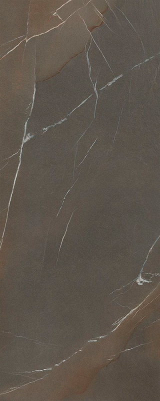 Керамогранит Laminam In-Side Pietra Piasentina Taupe Naturale 5.6 LAMF009439_IT 120x300