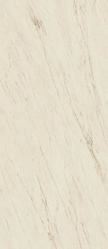 Керамогранит Atlas Concorde Marvel Pro Cremo Delicato A0BO 120x278