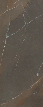 Керамогранит Laminam In-Side Pietra Piasentina Taupe Naturale 5.6 LAMF009439_IT 120x300
