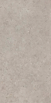 Керамогранит Kerama Marazzi Риккарди серый светлый SG519920R 60х119.5