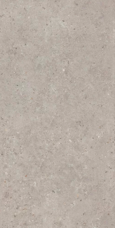 Керамогранит Kerama Marazzi Риккарди серый светлый SG519920R 60х119.5