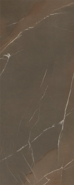 Керамогранит Laminam In-Side Pietra Piasentina Taupe Naturale 5.6 LAMF009439_IT 120x300