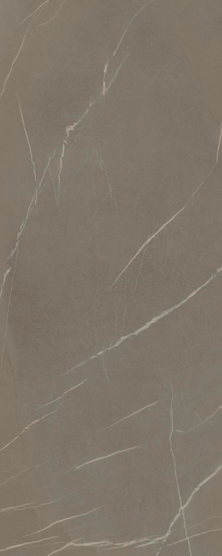 Керамогранит Laminam In-Side Pietra Piasentina Grigio Naturale 5.6 LAMF009435_IT 120x300