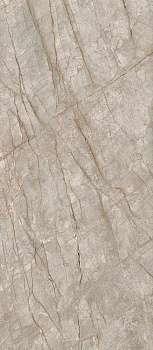 Керамогранит Atlas Concorde Russia Empire Silver Root 600180000015 120x278