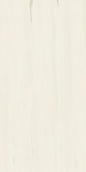 Керамогранит Atlas Concorde Marvel Stone Bianco Dolomite A21K 60x120