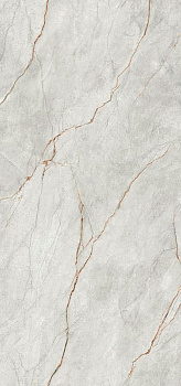 Керамогранит Imola Ceramica The Room Grey Roots серый GRE RO6 260 LP 120х260
