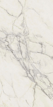 Керамогранит Atlas Concorde Marvel Calacatta Extra A21S 60x120